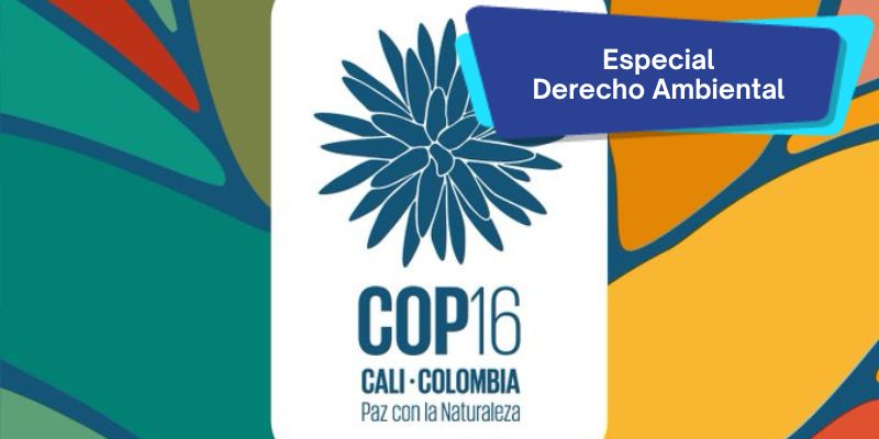 Supranacionalidad ambiental: dimensión para Colombia de la COP16